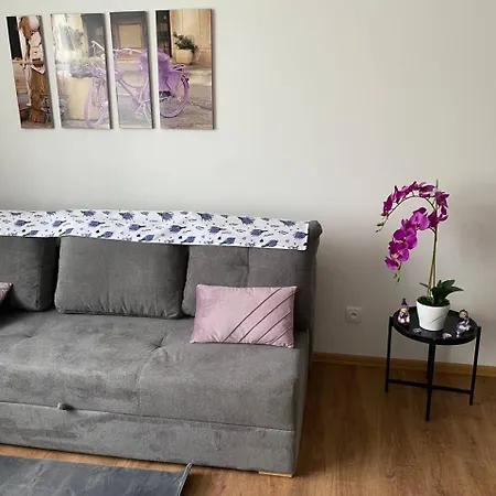 Apartmán Perla Hradce 203 *