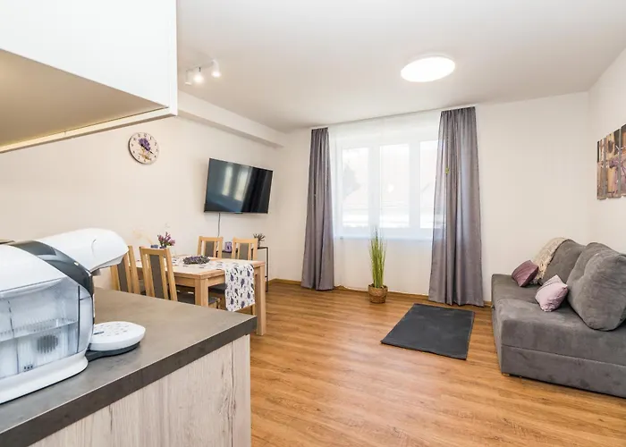 Lägenhet Perla Hradce 203 Hradec Králové