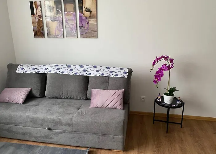Lägenhet Perla Hradce 203 *